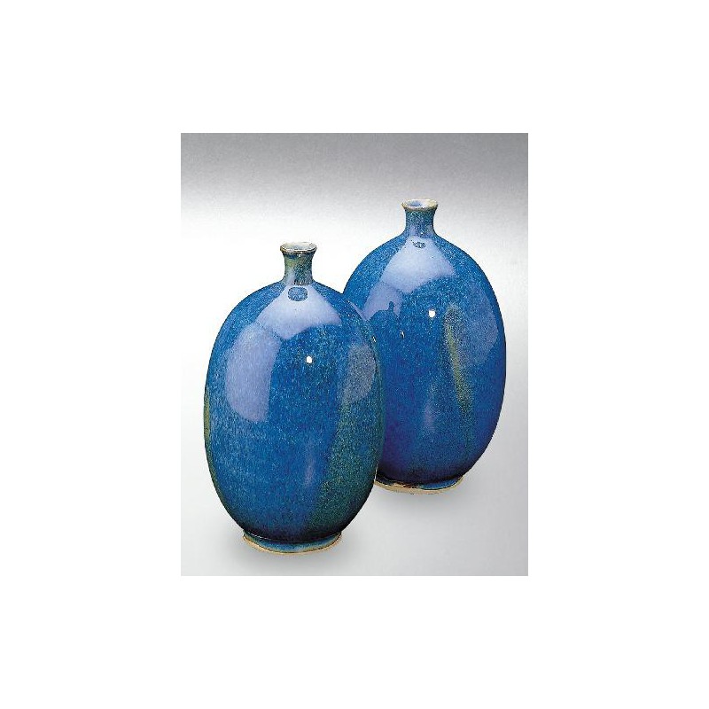 Terra Color (Toz) Porselen Sırları 1200-1260°C Borit 8209B / 609B