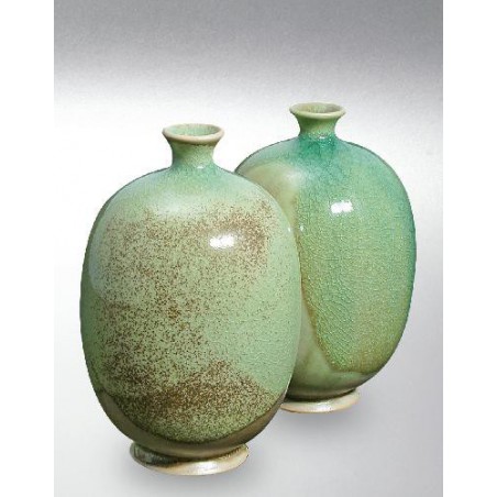 8226 / 626 Celadon Green (Seledon Yeşili) Terra Color Yüksek Derece Toz Sır