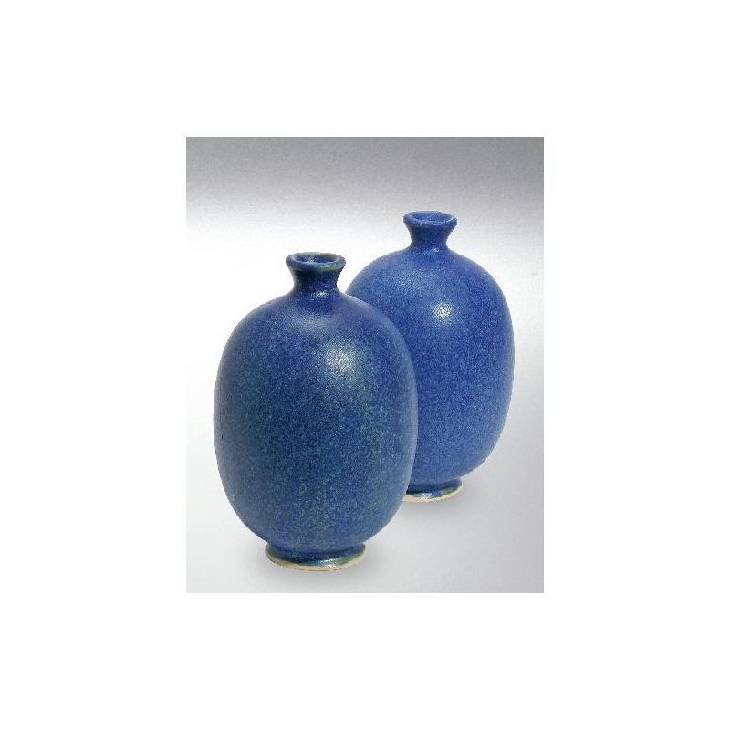 Terra Color (Toz) Porselen Sırları 1200-1260°C Südsee blau 8236A / 636A