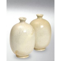 Terra Color (Toz) Porselen Sırları 1200-1260°C Creme 8241 / 641