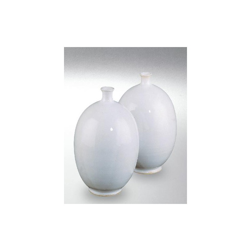 8250A / 650A Tin White (Kalay Beyazı) Terra Color Yüksek Derece Toz Sır