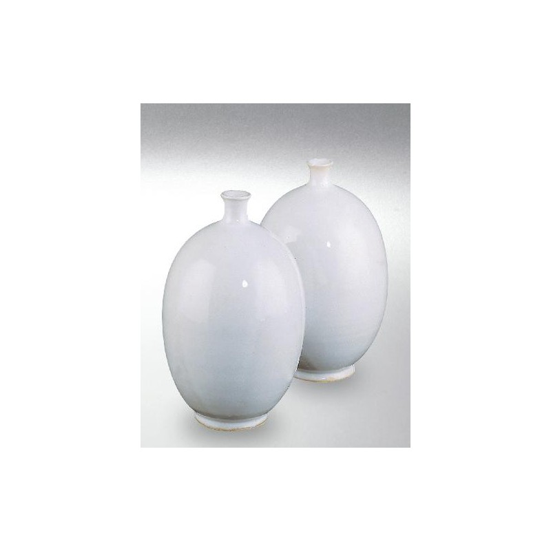 Terra Color (Toz) Porselen Sırları 1200-1260°C Weiß glänzend 8250A / 650A