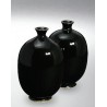 8254 / 654 Gloss Black (Parlak Siyah) Terra Color Yüksek Derece Toz Sır