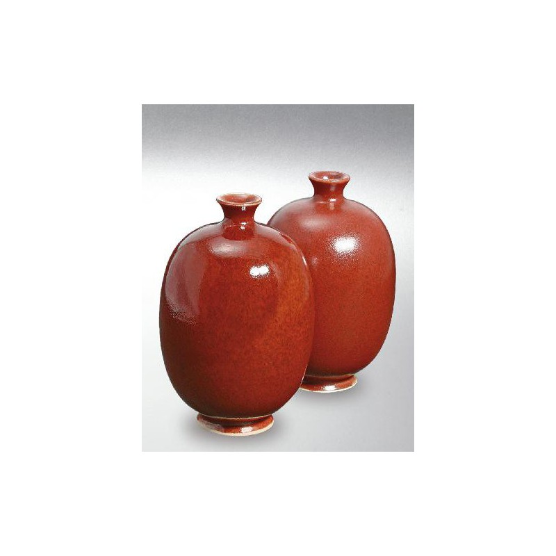 Terra Color (Toz)  Porselen Sırları 1200-1260°C Flamenco 8255 / 655