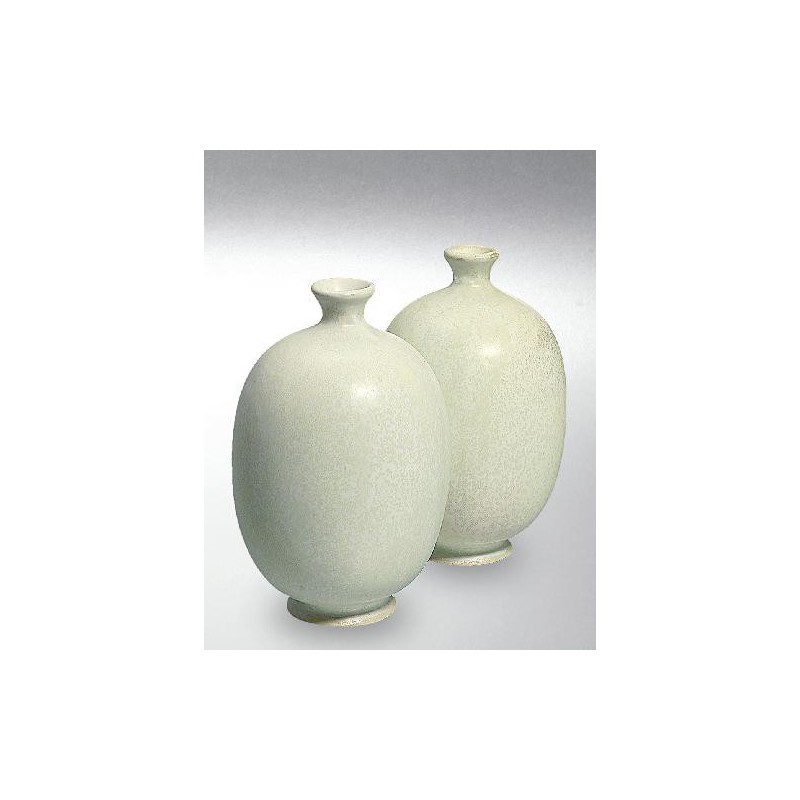 Terra Color (Toz) Porselen Sırları 1200-1260°C Weißer Krokus 8267 / 667