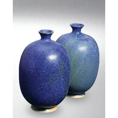 9605 / 6605 Delphinium (Efektli Deniz Mavi) Terra Color Yüksek Derece Toz Sır