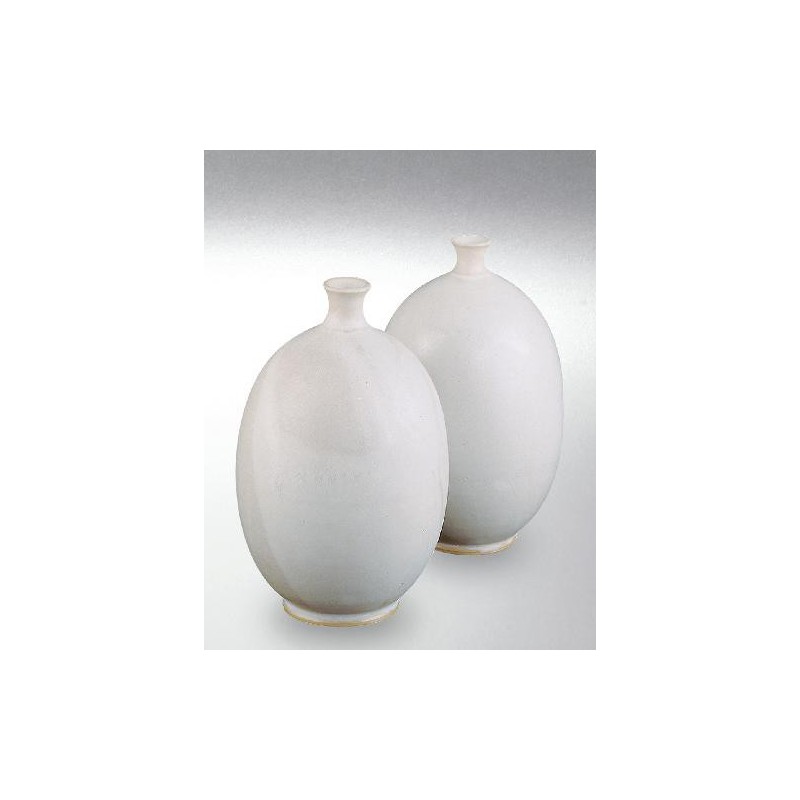 Terra Color (Toz)  Porselen Sırları 1200-1260°C Weiss matt 9609 / 6609 (Efektli Mat Beyaz)