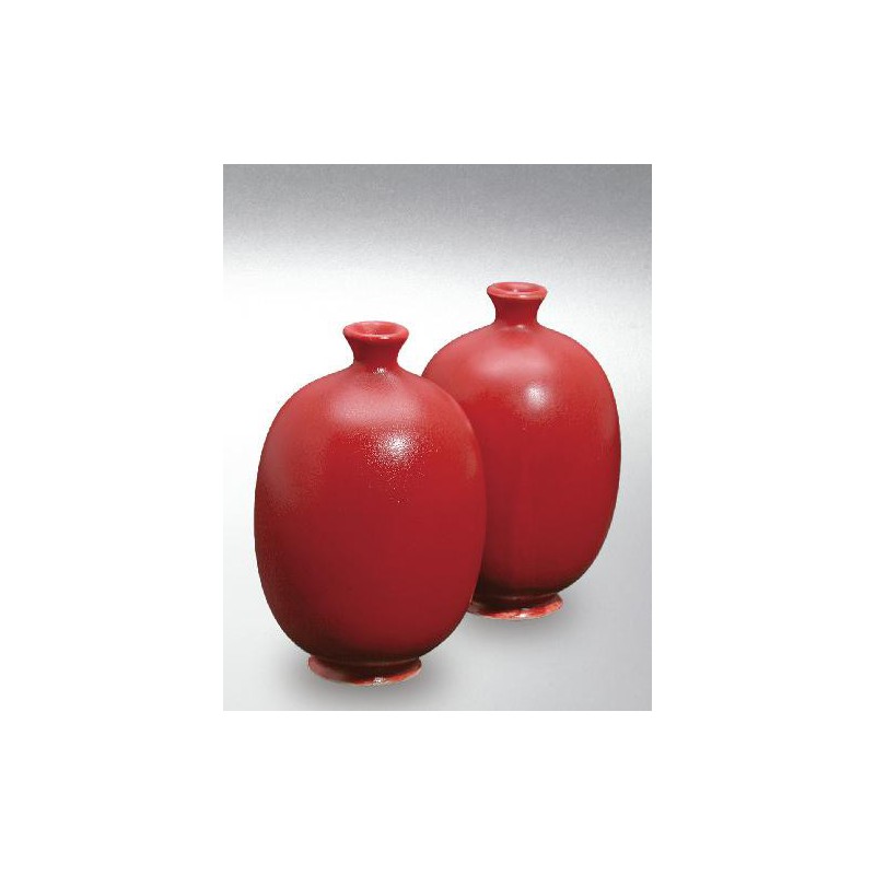 Terra Color (Toz)  Porselen Sırları 1200-1260°C Chilirot 9642 / 6642