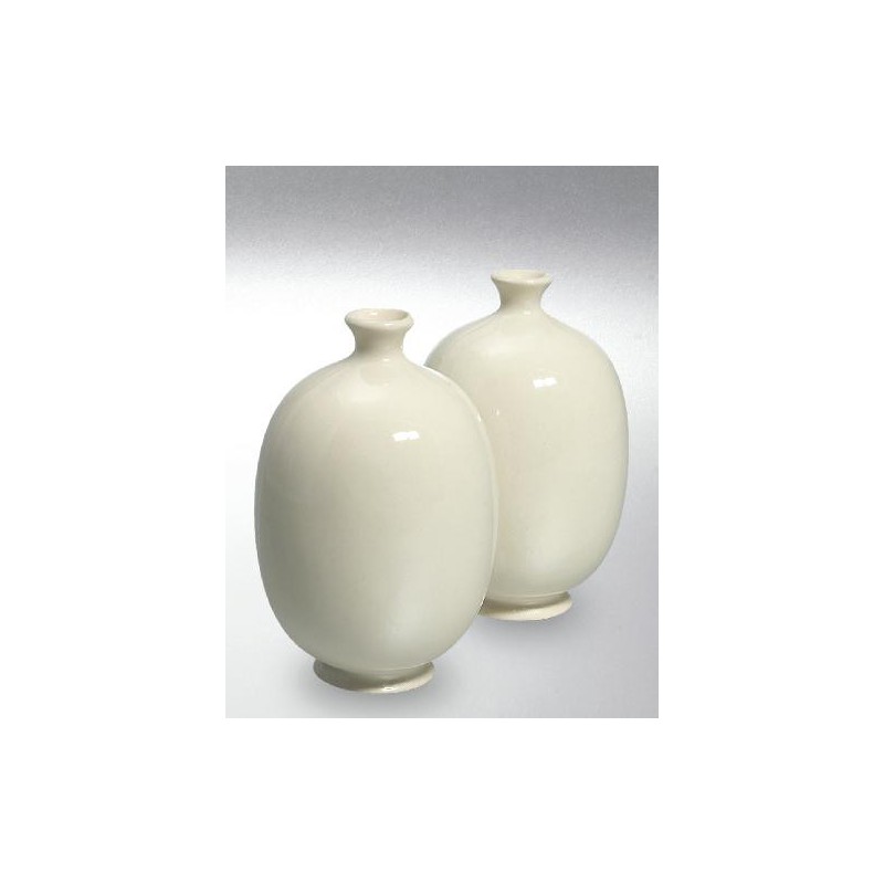 Terra Color (Toz)  Porselen Sırları 1200-1260°C Transparent 9600 / 6600 (ŞEFFAF)