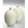 9600 / 6600 Transparent (Şeffaf Parlak) Terra Color Yüksek Derece Toz Sır