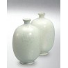 18050 Ice Flower White (Beyaz Çiçek) Terra Color Yüksek Derece Toz Sır