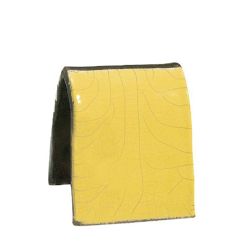 1921 Raku Yellow (Raku Sarı) Terra Color Toz Sır