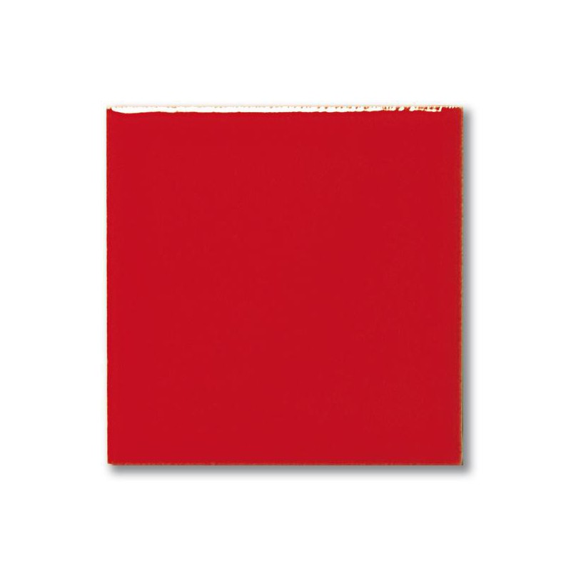 F 11000 Calypsorot (Kırmızı) Terra Color Sır 200mL