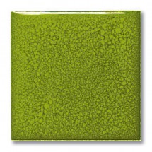 FE 5030 Limette (Yeşil Limon) Terra Color Sır 200mL