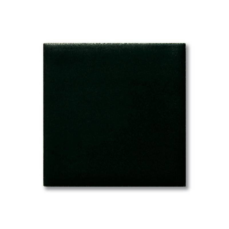 FE 5513 Schwarz Matt (Mat Siyah) Terra Color Sır 200mL