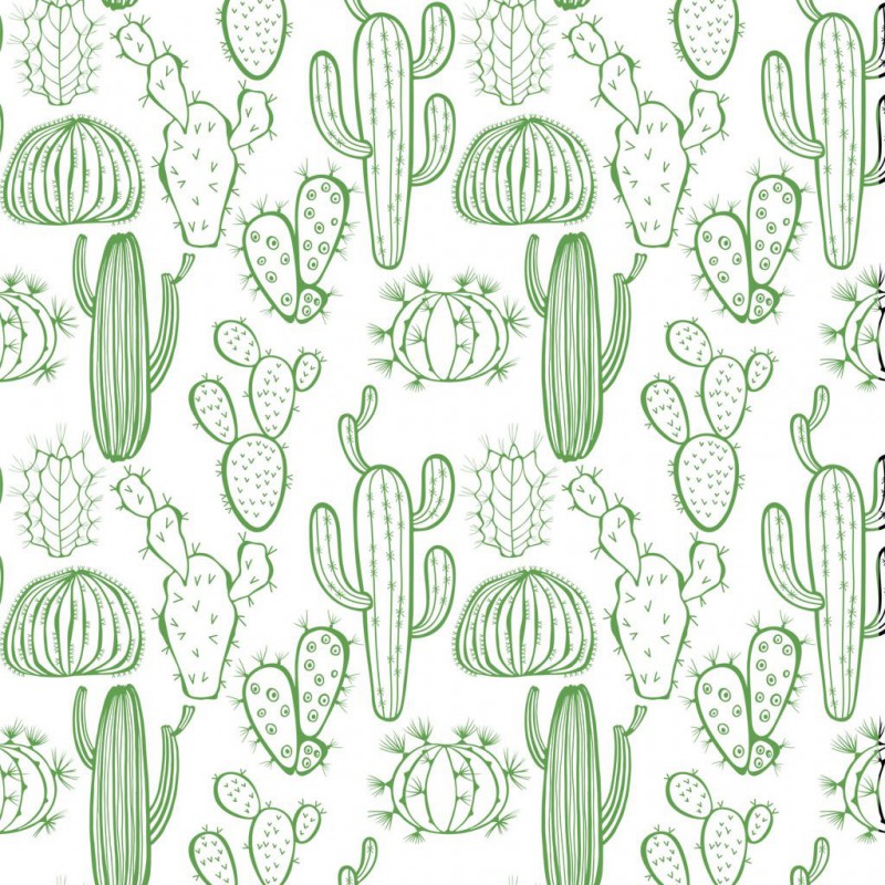 Sır Altı Dekal Plants Cactus (Kaktüs) D-51 (23x16cm)