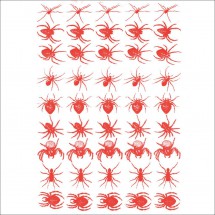 Sır Altı Dekal Insects Spider (Örümcek) D-72 (23x16cm)