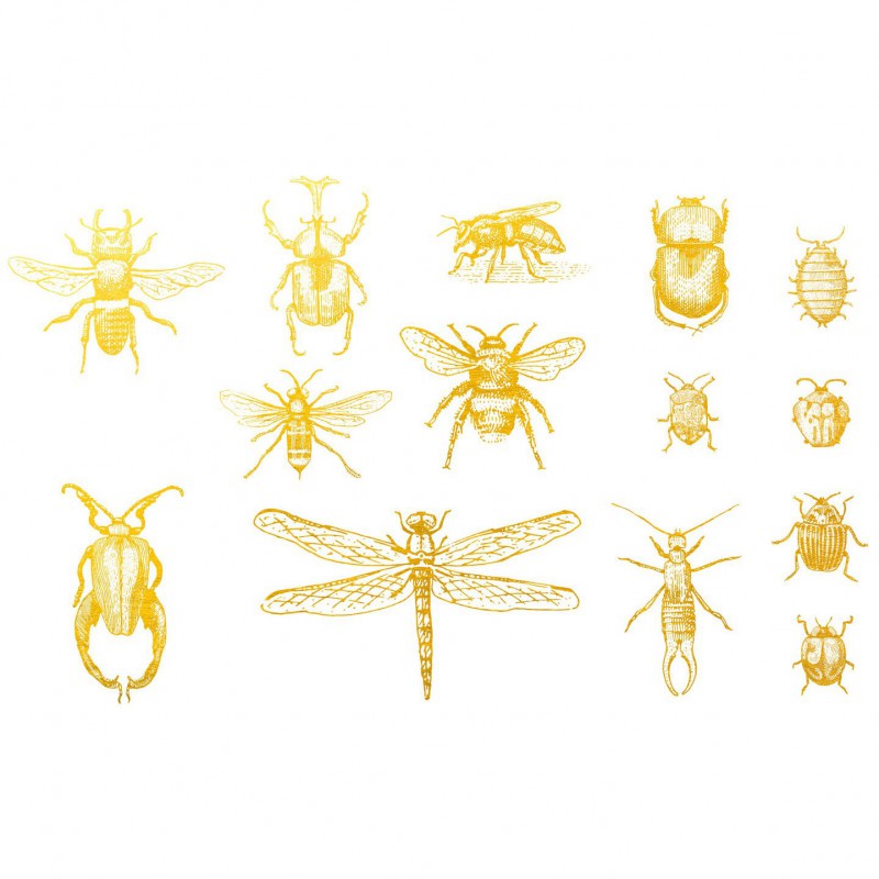 Sır Üstü Dekal Gold Bugs 2 (Altın Böcekler 2) D-225 (10x15cm)