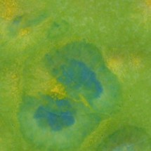 CTL-41 Melon 1040°C - 473 mL