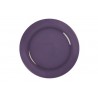 HF-171 Amethyst (Mor) Amaco Yüksek Isı Sır 473mL