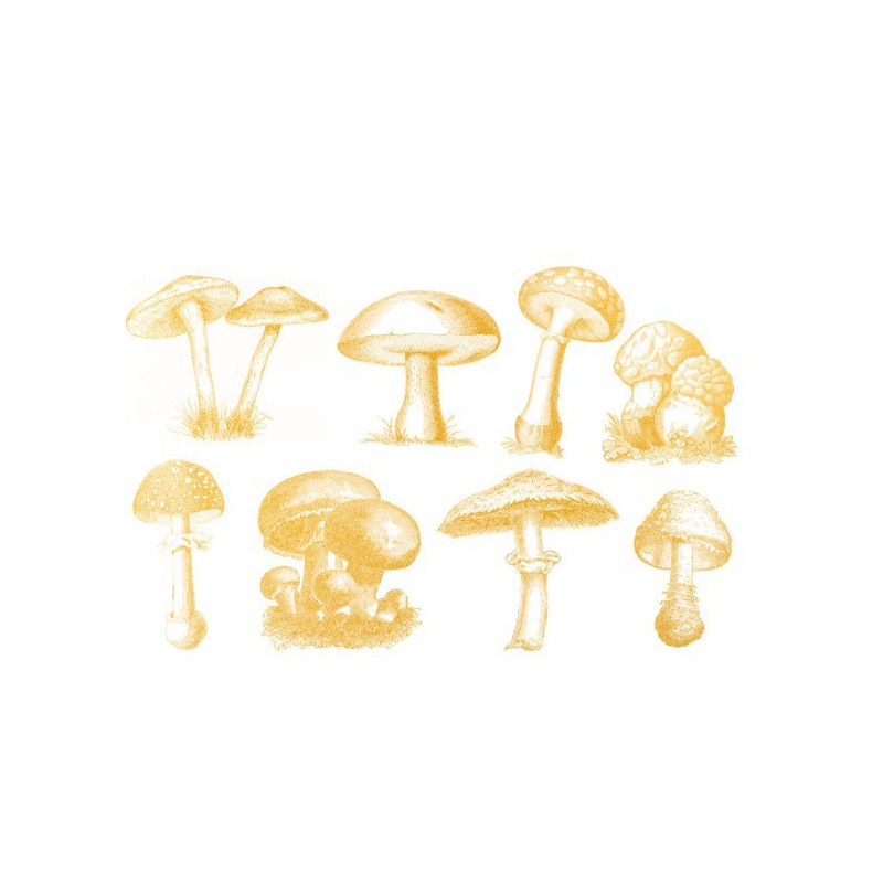 Sır Üstü Dekal Altın Wild Mushromm (Yabani Mantar) D-239 (10x15cm)