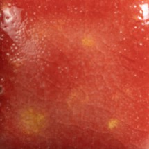 CG-989 Fruit Punch Mayco Kristal Sır 1000–1040°C