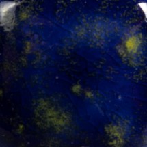 CG-990 Starry Night Mayco Kristal Sır 1000–1040°C