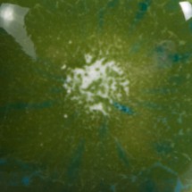 S-2715 Spotted Kivi Mayco Kristal Sır 1000–1040°C