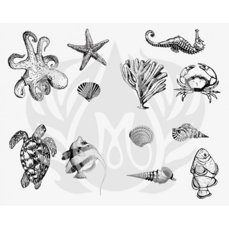 DSS-102 Sea Life Mayco Designer Silk Screen - İpek Baskı (Serigrafi) 30x38 cm Deniz Canlıları