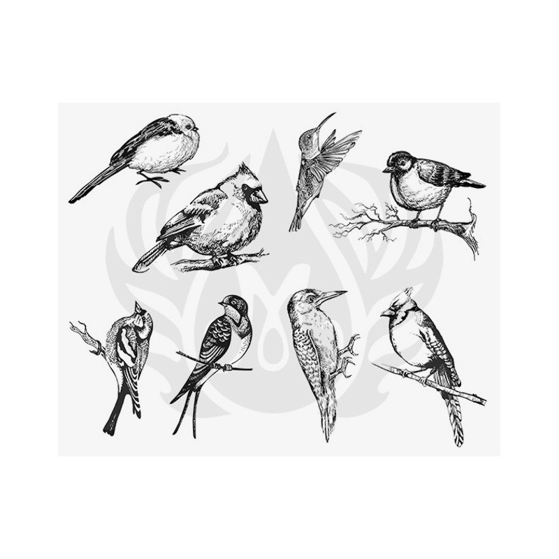 DSS-108 Aviary - Small Birds Mayco Designer Silk Screen - İpek Baskı (Serigrafi) 30x38 cm Kuşlar DSS-108 Aviary - Small Birds Mayco Designer Silk Screen - İpek Baskı (Serigrafi) 30x38 cm Kuşlar