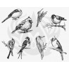 DSS-108 Aviary - Small Birds Mayco Designer Silk Screen - İpek Baskı (Serigrafi) 30x38 cm Kuşlar