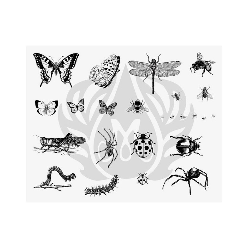 DSS-113 Bugs Mayco Designer Silk Screen - İpek Baskı (Serigrafi) 30x38 cm Böcekler
